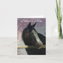 PFERDEPORTRAIT FOTO TIERKARTE