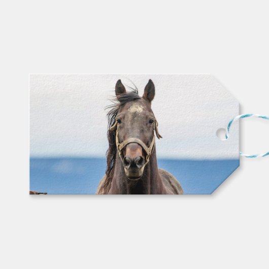 Pferdeportrait Geschenkanhänger (Vorderseite (Horizontal))