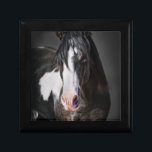 Pferdeportrait II Erinnerungskiste<br><div class="desc">Tiere</div>