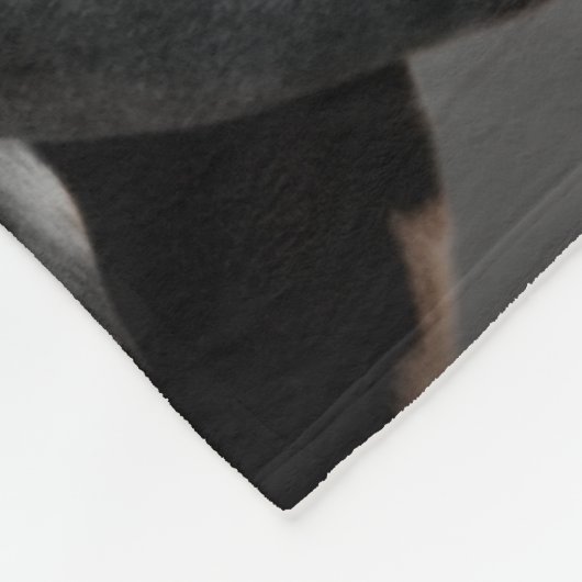 Pferdeportrait II Fleecedecke (Ecke)