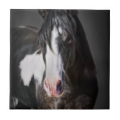 Pferdeportrait II Fliese (Vorderseite)