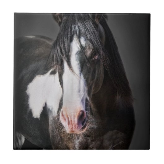 Pferdeportrait II Fliese (Vorderseite)