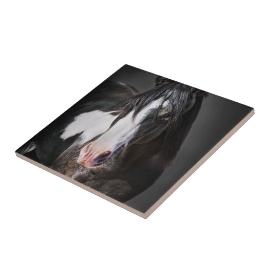 Pferdeportrait II Fliese (Seite)