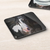 Pferdeportrait II Getränkeuntersetzer (Linke Seite)