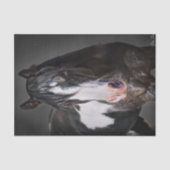 Pferdeportrait II Seidenpapier (Vorderseite)