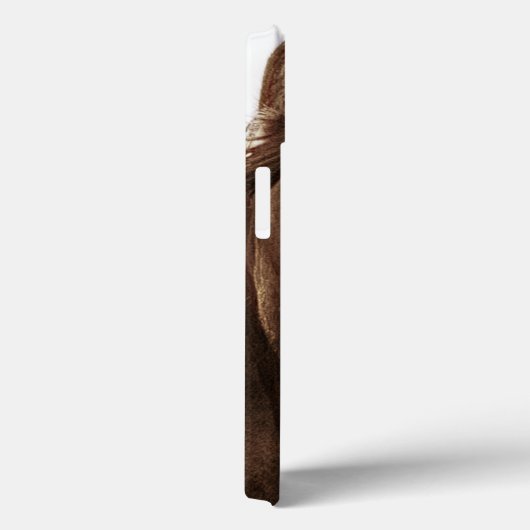 Pferdeportrait III Case-Mate iPhone Hülle (Rückseite / Rechts)