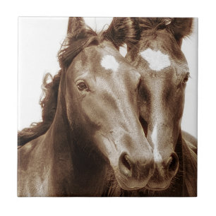 Pferdeportrait III Fliese