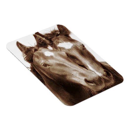 Pferdeportrait III Magnet (Rechte Seite)