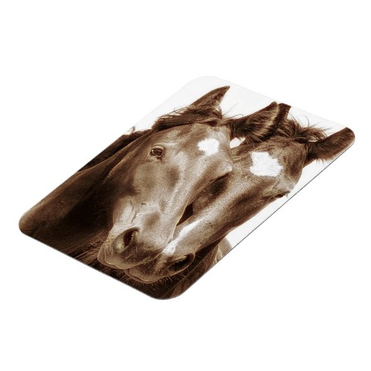 Pferdeportrait III Magnet (Linke Seite)