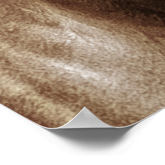 Pferdeportrait III Poster (Ecke)