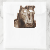 Pferdeportrait III Quadratischer Aufkleber (Tasche)