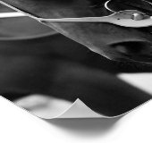 Pferdeportrait in Schwarz-Weiß Poster (Ecke)