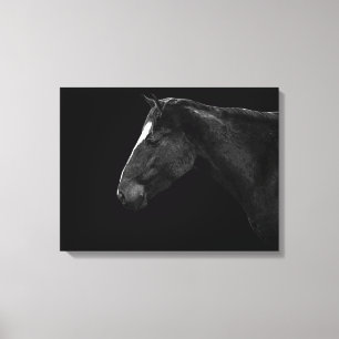 Pferdeportrait Leinwanddruck
