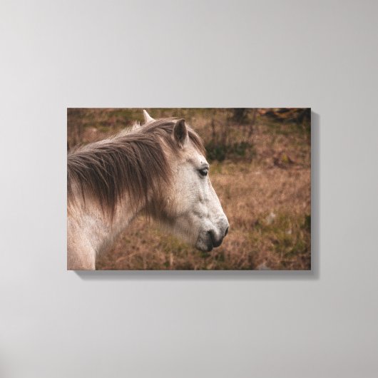 Pferdeportrait Leinwanddruck (Vorderseite)