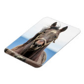 Pferdeportrait Magnet (Linke Seite)