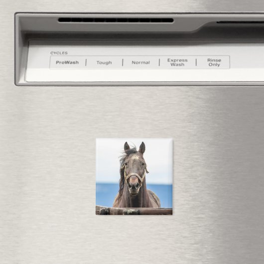 Pferdeportrait Magnet (In Situ (Geschirrspüler))
