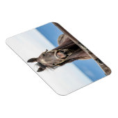 Pferdeportrait Magnet (Rechte Seite)