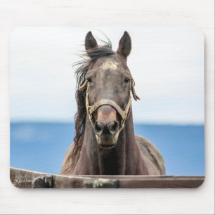 Pferdeportrait Mousepad
