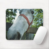 Pferdeportrait Mousepad (Mit Mouse)