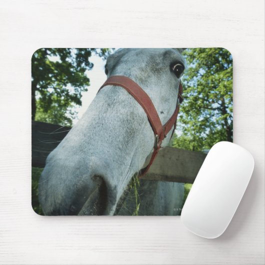 Pferdeportrait Mousepad (Mit Mouse)