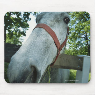 Pferdeportrait Mousepad