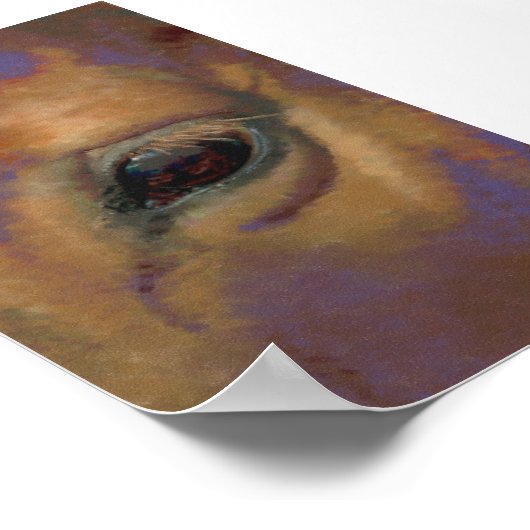 Pferdeportrait Poster (Ecke)