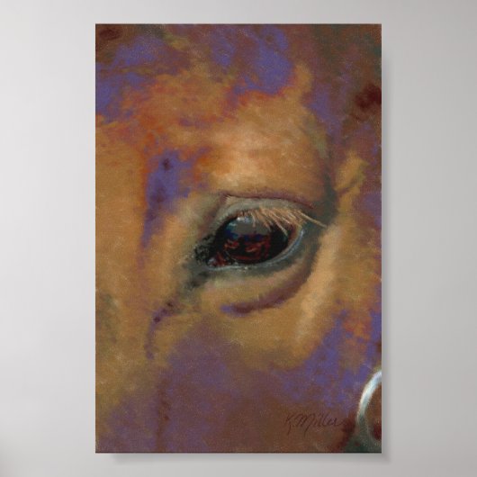 Pferdeportrait Poster (Vorne)