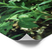 Pferdeportrait Poster (Ecke)