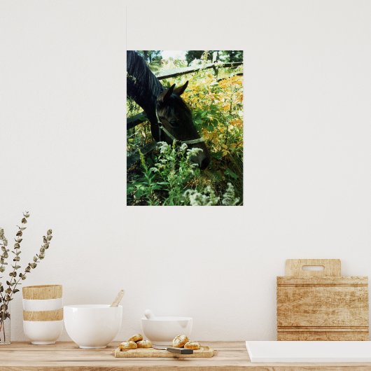 Pferdeportrait Poster (Küche)