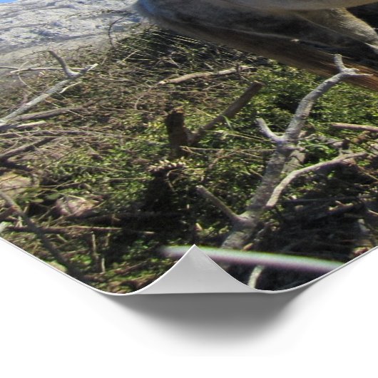 Pferdeportrait Poster (Ecke)