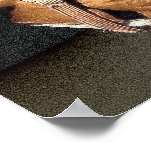 Pferdeportrait Poster (Ecke)