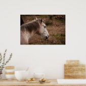 Pferdeportrait Poster (Küche)