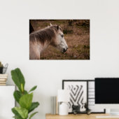 Pferdeportrait Poster (Heimbüro)