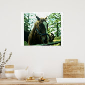 Pferdeportrait Poster (Küche)