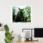 Pferdeportrait Poster (Heimbüro)