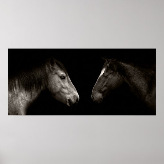 Pferdeportrait Poster (Vorne)