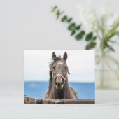 Pferdeportrait Postkarte (Stehend Vorderseite)