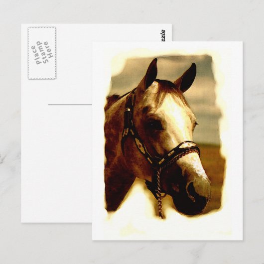 Pferdeportrait Postkarte (Vorne/Hinten)