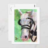 Pferdeportrait Postkarte (Vorne/Hinten)