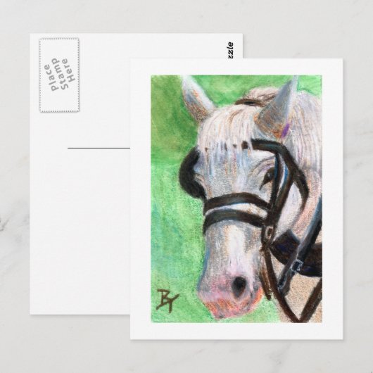 Pferdeportrait Postkarte (Vorne/Hinten)
