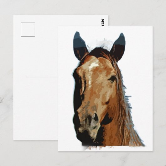Pferdeportrait Postkarte (Vorne/Hinten)