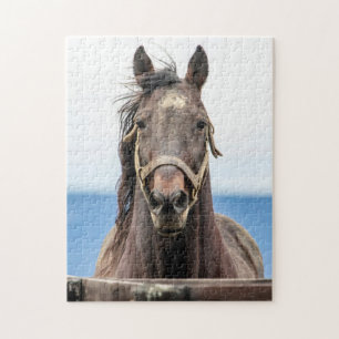 Pferdeportrait Puzzle