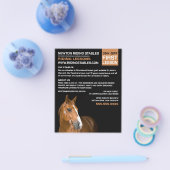 Pferdeportrait, Reitlehrer, Akademie Flyer (Einzeln)