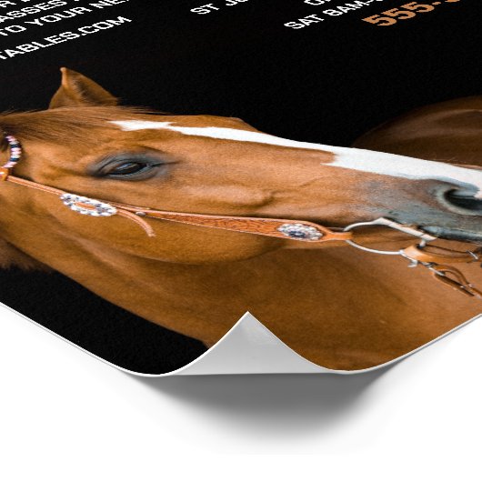 Pferdeportrait, Reitlehrer, Akademie Poster (Ecke)