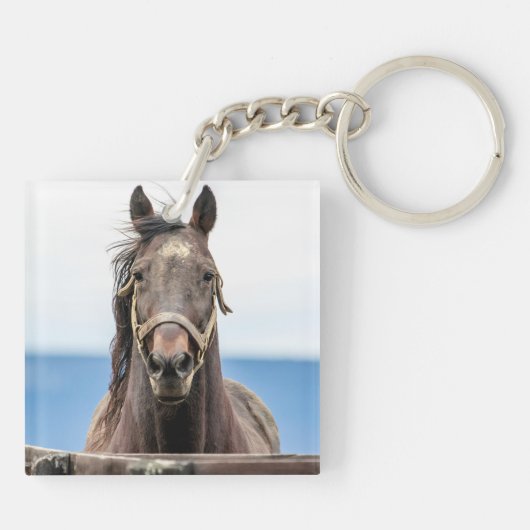 Pferdeportrait Schlüsselanhänger (Rückseite)