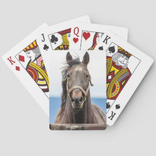 Pferdeportrait Spielkarten