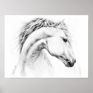 Pferdeportrait Stift zeichnend Kunst der Reitkunst Poster