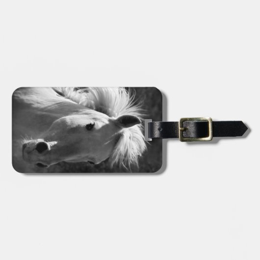 Pferdeportrait V Gepäckanhänger (Vorderseite horizontal)