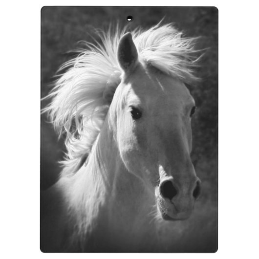 Pferdeportrait V Klemmbrett (Rückseite)