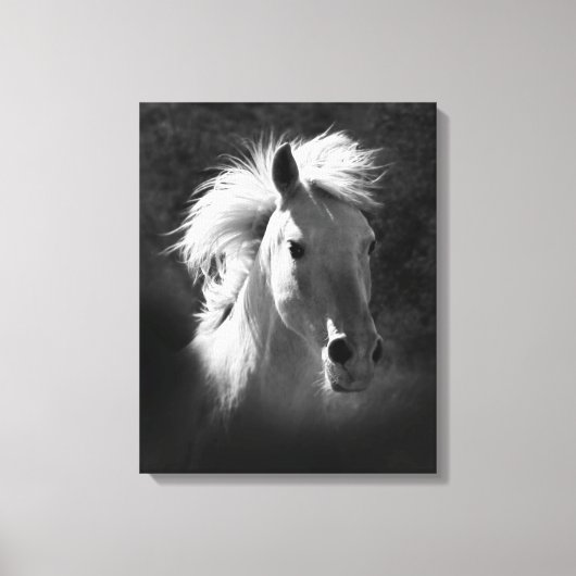 Pferdeportrait V Leinwanddruck (Vorderseite)